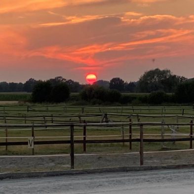 Sonnenuntergang Reitanlage Bennie Kleijn