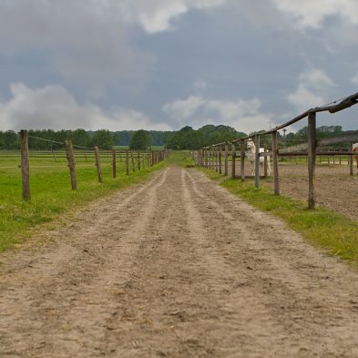Reitweg Reitanlage Bennie Kleijn