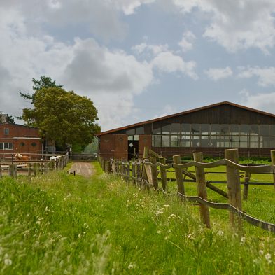 Weiden und Wiesen Reitanlage Bennie Kleijn