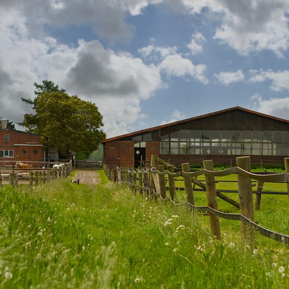 Wiesen und Weiden der Reitanlage Bennie Kleijn