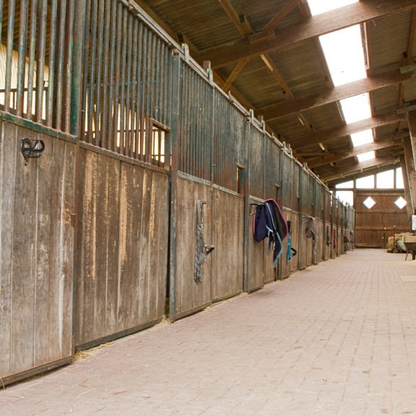 Ställe der Reitanlage Bennie Kleijn