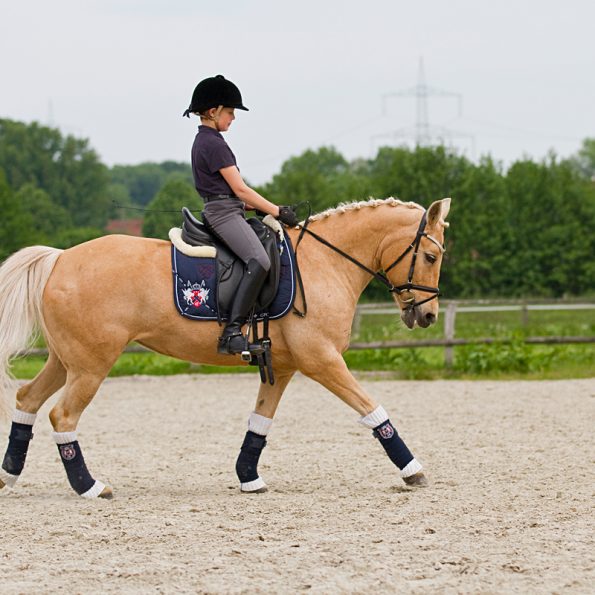 Dressurplatz Reitanlage Bennie Kleijn